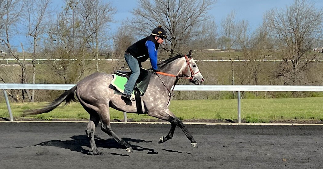 Requiem for the 7 Dead Horses of Kentucky Derby Week