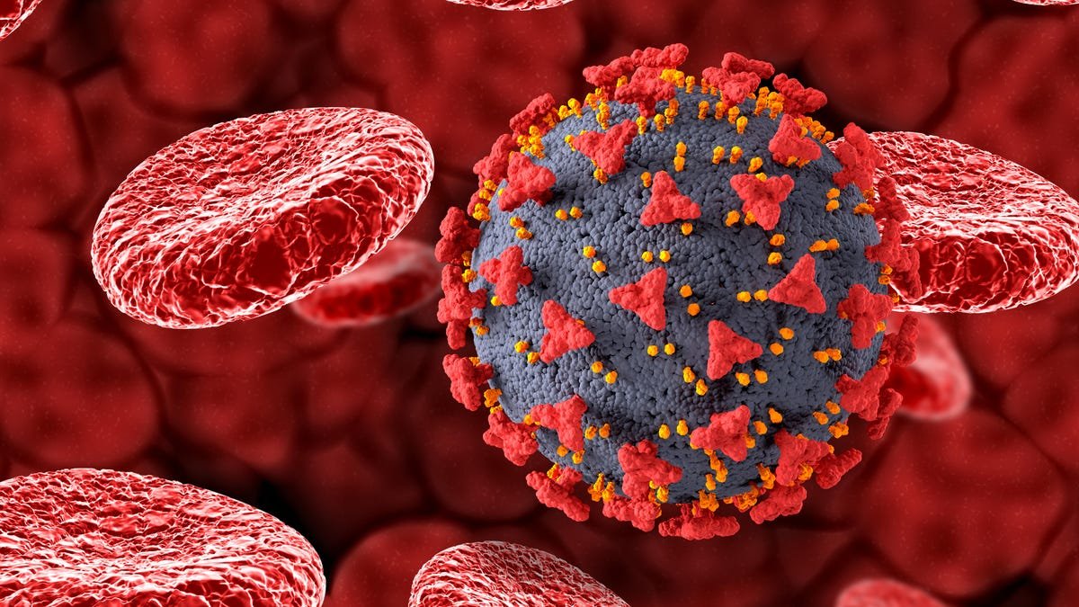 A SARS-CoV-2 virion inside the bloodstream. Red blood cells float past the virus, which has notable spike proteins protruding from its surface.