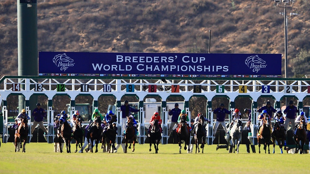 Horse dies just days before he was scheduled to race at Breeders' Cup; Belmont Stakes winner scratched