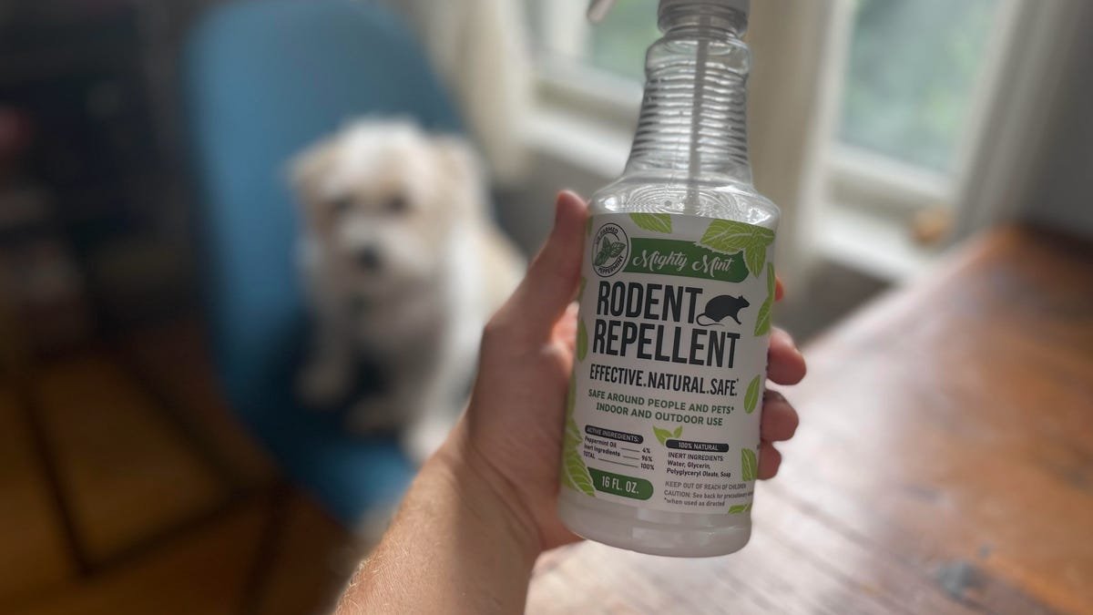 This Pet-Friendly Rodent Spray Is the Only Thing Solved My Mouse Problem