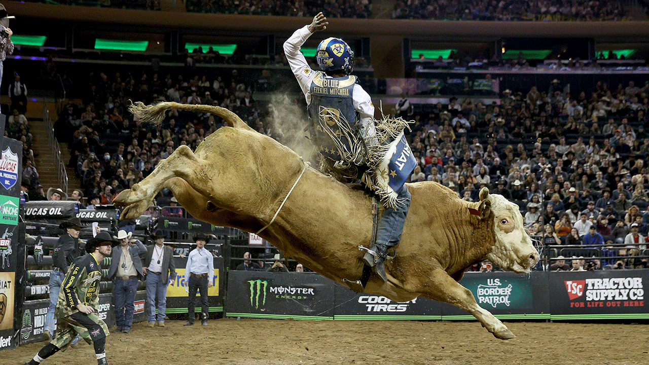 Un-bull-ievable: Bull riding