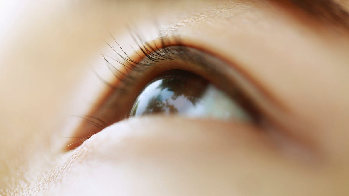 Close-up of a brown eye.